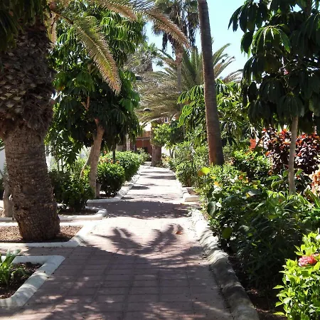 Lejlighed Beautiful Beachfront Playa de las Américas