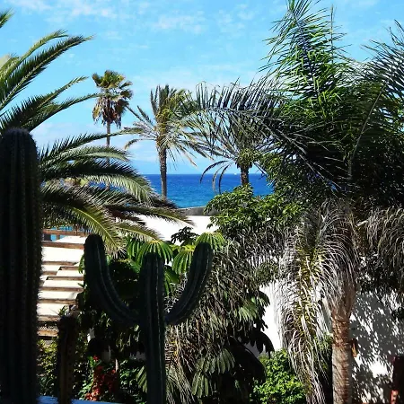 Beautiful Beachfront 公寓 *